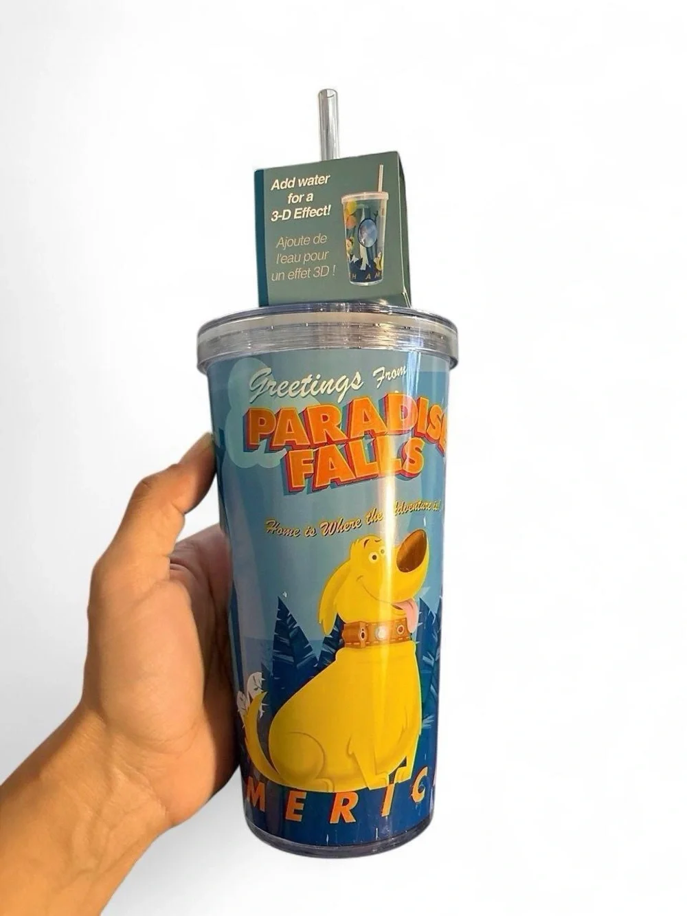 Disney official parks